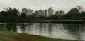 0390_Londrina