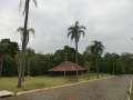 0411_Parque_Arthur_Thomas
