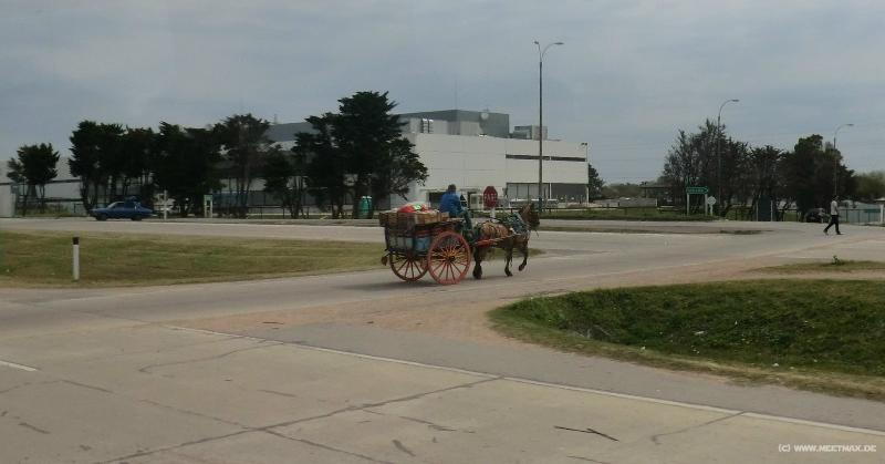 1135_Horse_carriage