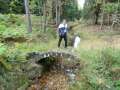 0051_Br�ckentest