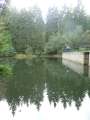 0054_Fuchsteich