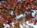 0017