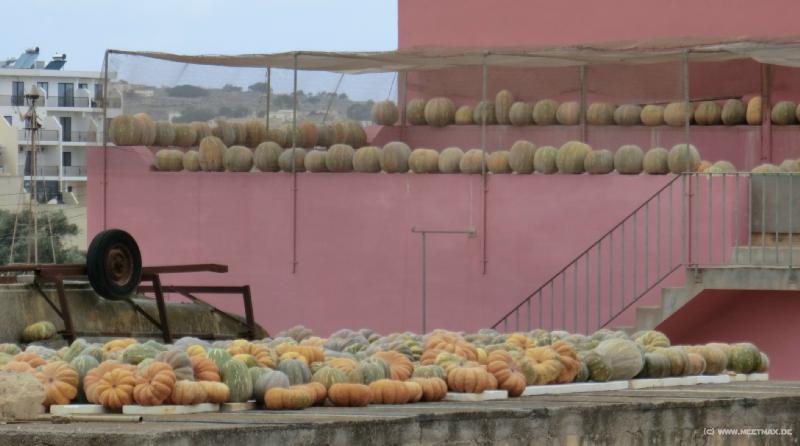 0009_Pumpkins