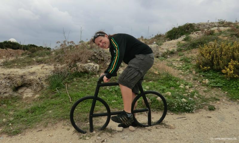 0045_Biking_Cat