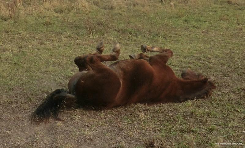 0595