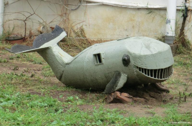 0153_Whale