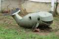 0153_Whale