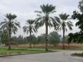 0156_Kibbutz_road