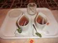 0330_Tea