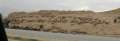 0368_Sheep