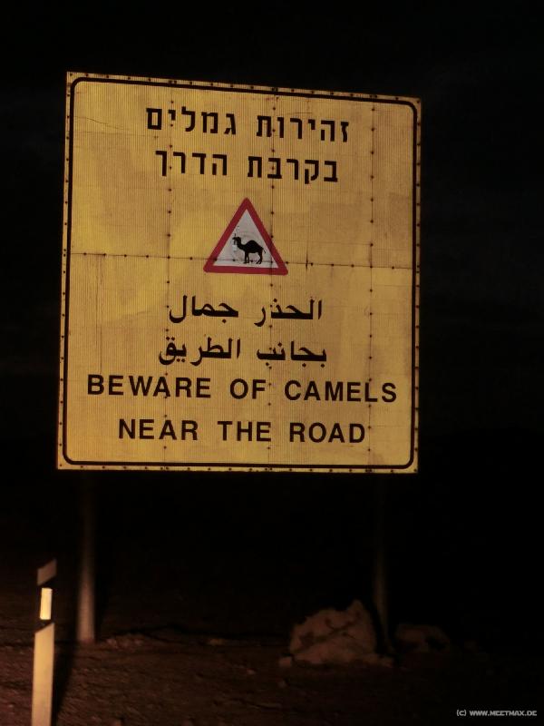 0878_Camel_warning