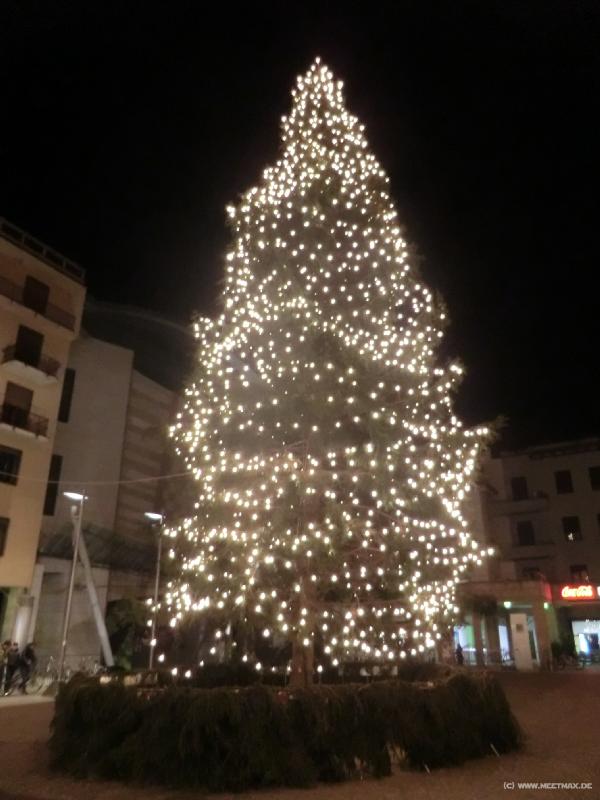 0028_Trento_Christmas_tree
