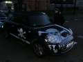 0469_Cats_Auto
