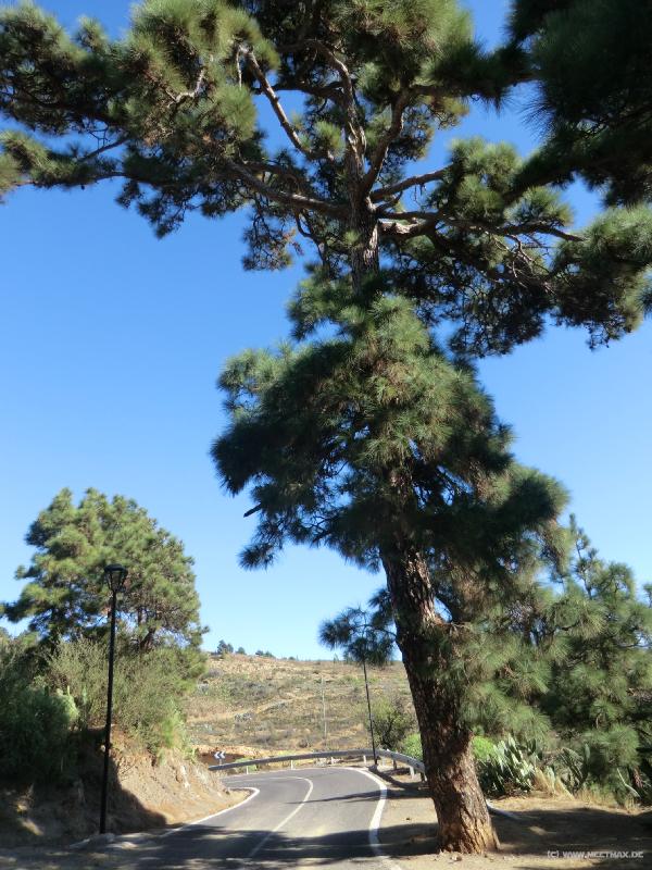 0059_Las_Vegas_road