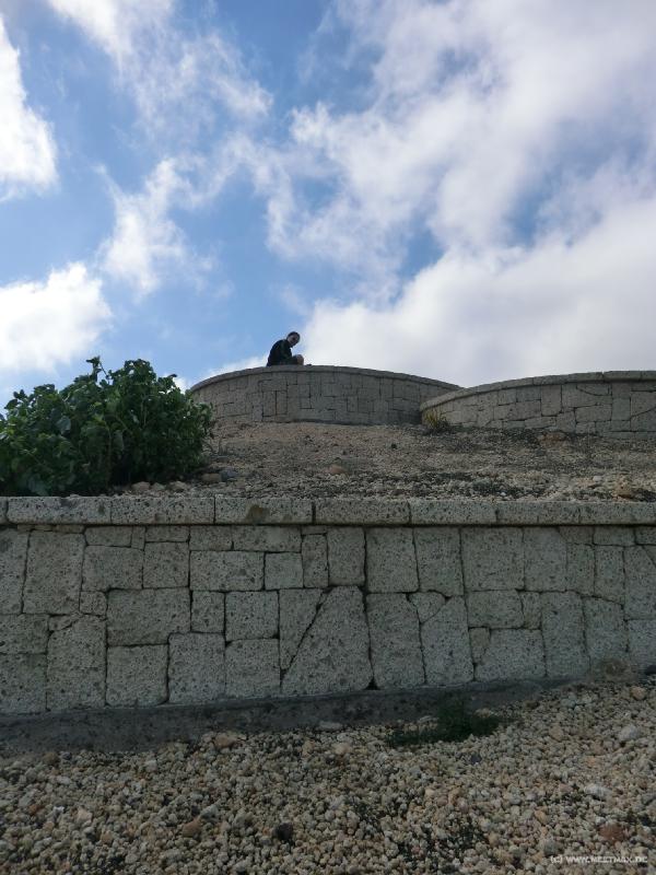 0070_Lookout_Cat