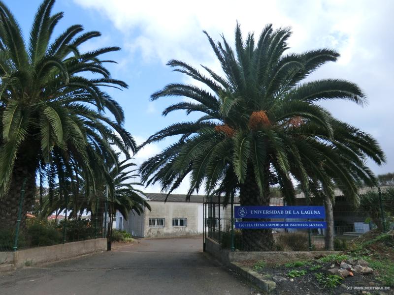 0114_Uni_La_Laguna