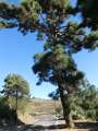 0059_Las_Vegas_road