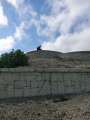 0070_Lookout_Cat