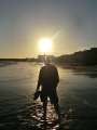 0190_Sunset_Cat