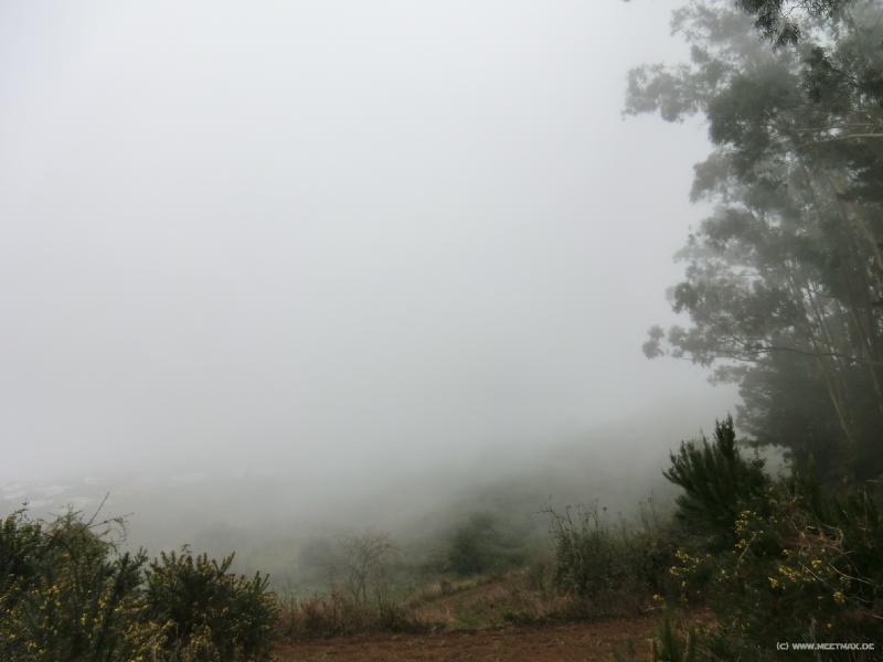 0113_In_the_cloud