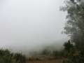 0113_In_the_cloud