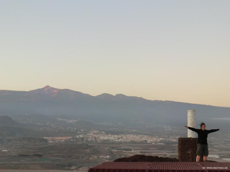 0146_Summit_Cat