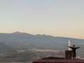 0146_Summit_Cat