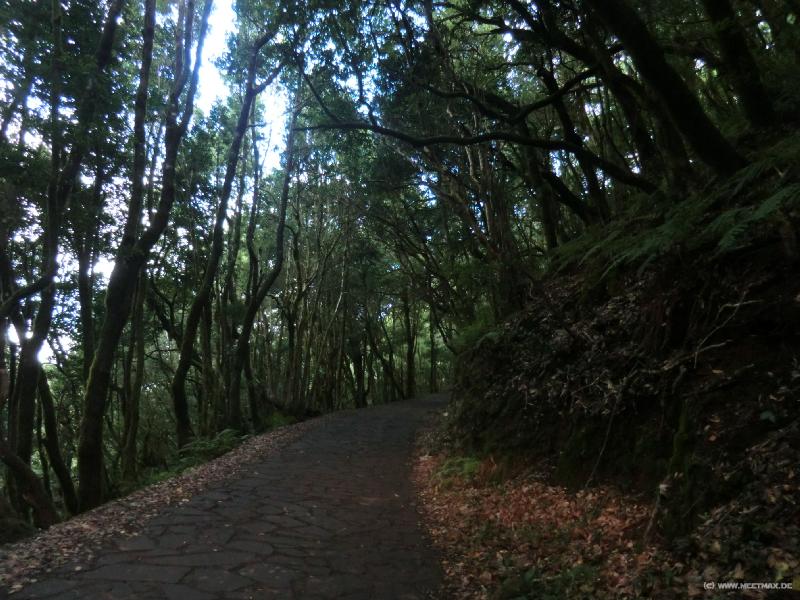 0302_Camping_road