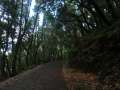0302_Camping_road