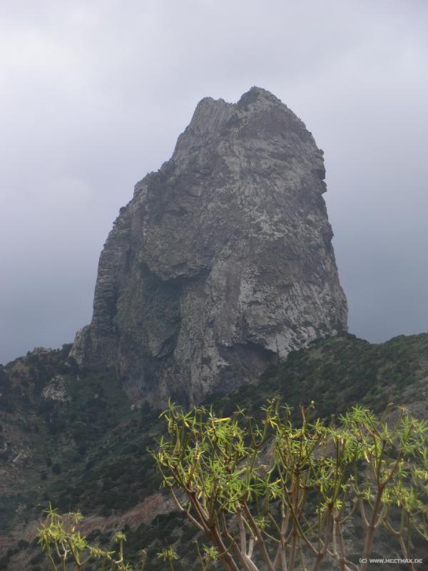 0528_Roque_Cano