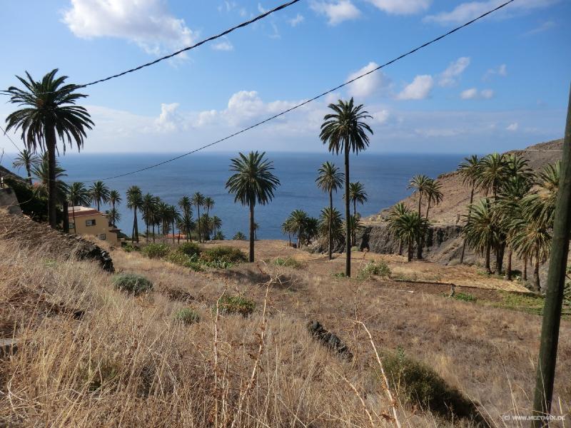 0535_Taguluche