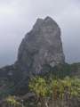 0528_Roque_Cano