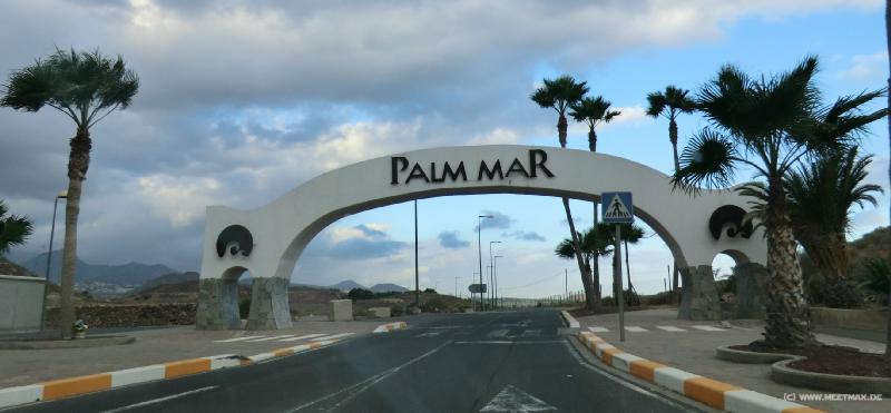 0618_Palm-Mar
