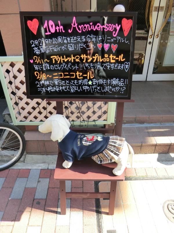 0111_Dog_fashion