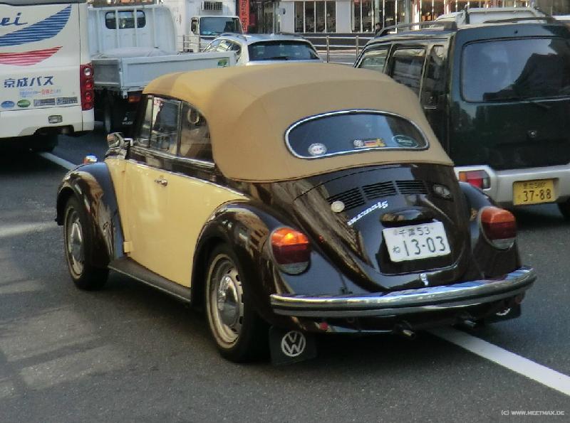 0137_K�fer