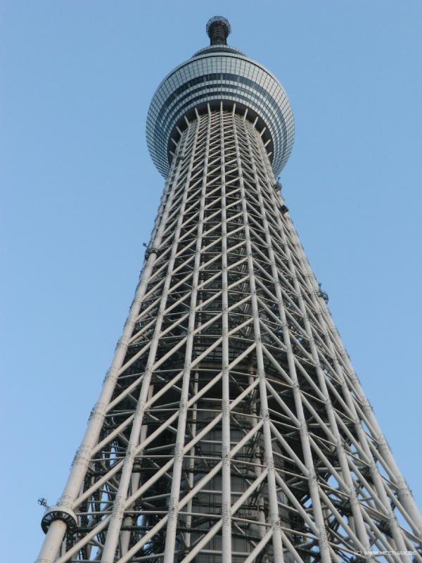 0254