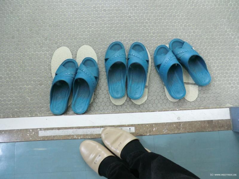 0281_Toilet_shoes