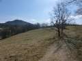 0721_Blick_zum_Tannenberg