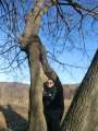 0757_Cat_im_Baum