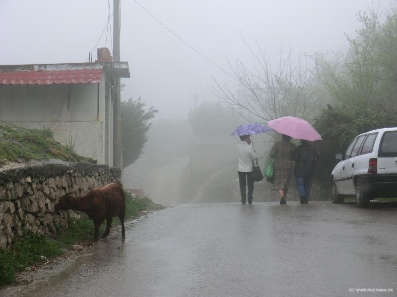 0958_Nice_weather