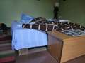 0924_DB-Bett