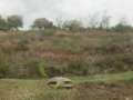 1050_Bunker