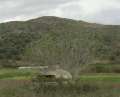 1053_Bunker
