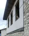 1103_Cat_lookout