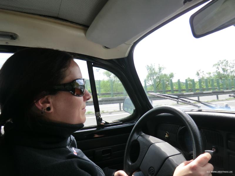 0021_Driving_Cat