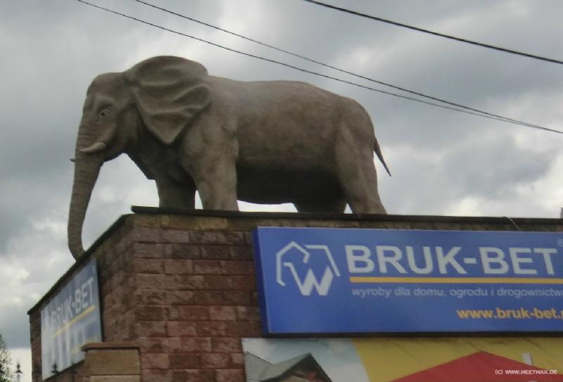 0027_Elefant