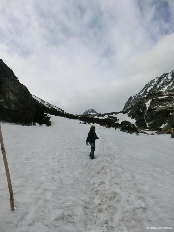 0140_Schneeweg