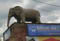0027_Elefant