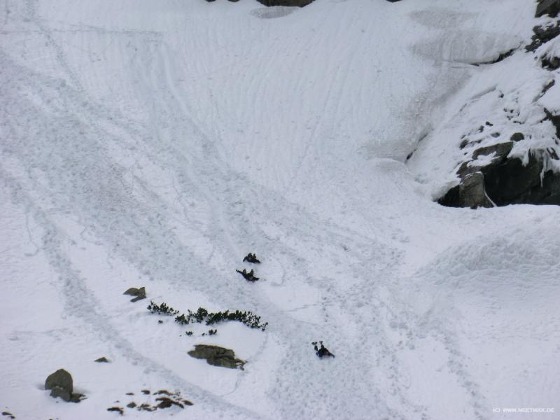 0301_Bauchsurfer
