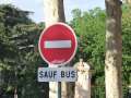 0044_Saufbus